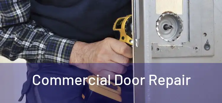 Commercial Door Repair