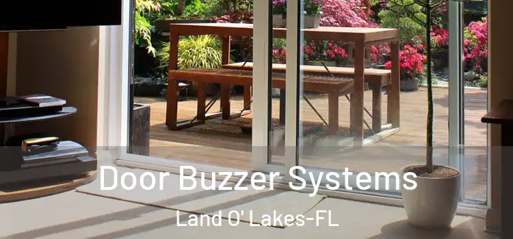 Door Buzzer Systems Land O' Lakes-FL