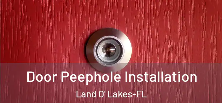 Door Peephole Installation Land O' Lakes-FL