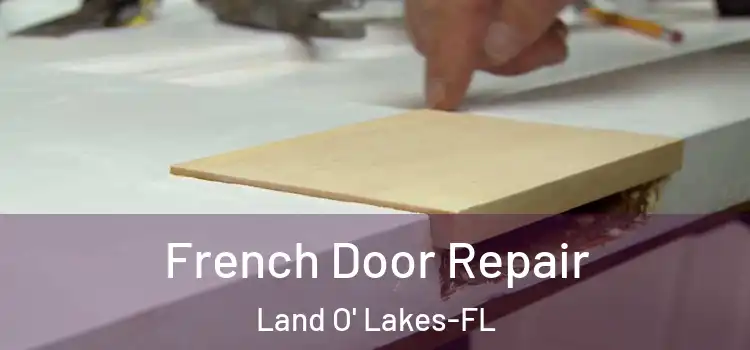 French Door Repair Land O' Lakes-FL