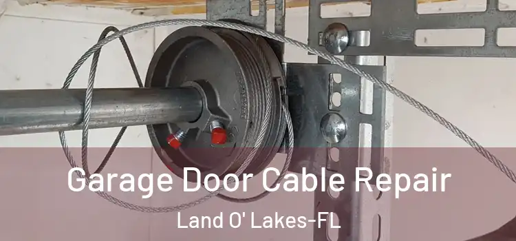 Garage Door Cable Repair Land O' Lakes-FL