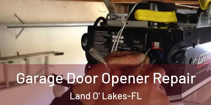 Garage Door Opener Repair Land O' Lakes-FL