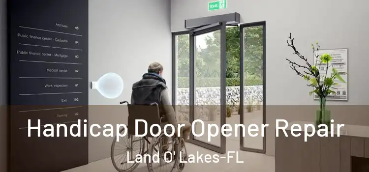 Handicap Door Opener Repair Land O' Lakes-FL