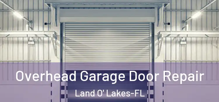 Overhead Garage Door Repair Land O' Lakes-FL